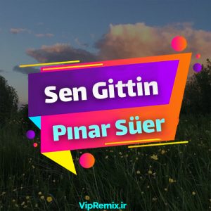 دانلود آهنگ Sen Gittin از Pınar Süer