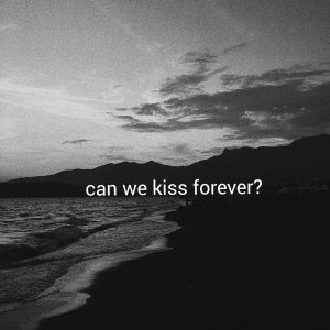 دانلود آهنگ Can We Kiss Forever از Kina