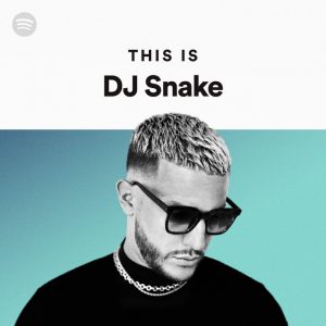 پلی لیست بهترین آهنگ های DJ Snake