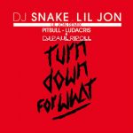 دانلود آهنگ Turn Down for What از DJ Snake, Lil Jon