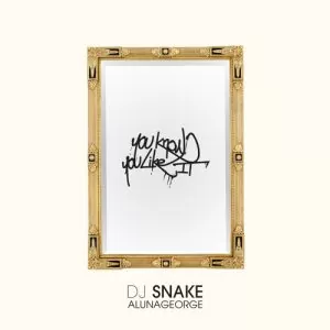دانلود آهنگ You Know You Like It از DJ Snake, AlunaGeorge