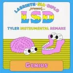 دانلود آهنگ Genius از LSD – ft. Sia, Diplo, Labrinth