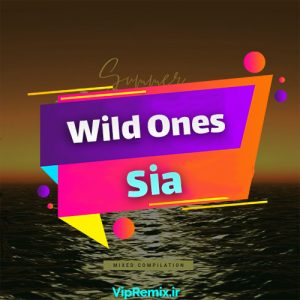 دانلود آهنگ Wild Ones از Flo Rida ft.Sia