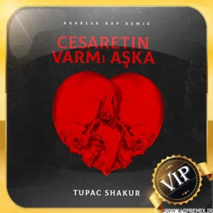 دانلود ریمیکس رپ غمگین ترکیه ای Cesaretin Varmi Aska از ۲Pac ft Gülay Sezer