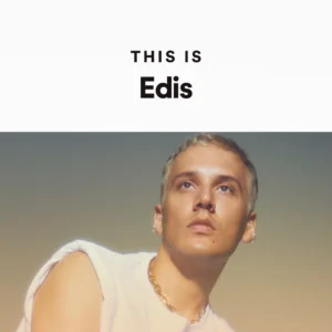 پلی لیست تمامی آهنگ های Edis