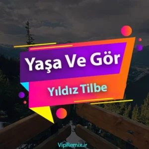 دانلود آهنگ Yaşa Ve Gör از Yıldız Tilbe