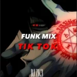 دانلود آهنگ Funk Mix Tik Tok (Lego Dance) از DJ ZK3