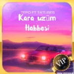 دانلود ریمیکس بیس دار خفن ترکیه ای Kara uzüm Habbesi مخصوص ماشین