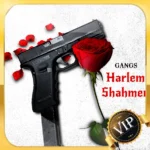 دانلود ریمیکس خفن بیس دار Harlem از Shahmen مخصوص ماشین و سیستم