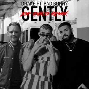 دانلود آهنگ Gently از Drake