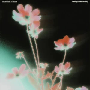دانلود آهنگ nobody (make me feel) از Khalid and Oskar With K