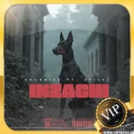 دانلود ریمیکس رپ ترکیه ای خفن INZAGHI از ORGANIZE ft. ATI242